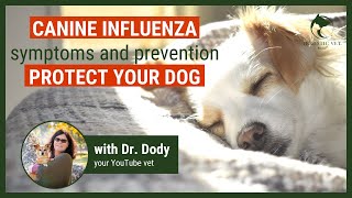 Canine Influenza-Symptoms, Prevention and Vaccination