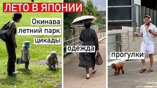 Японское лето. Улицы Токио: что носят. Летний парк: как отдыхают. Лёд какигори, цикады, Окинава.