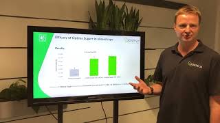 Soiltech oilseed rape trial Germany Optima Sugar+