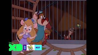 Disney XD - Screenbug Error - March 22, 2026