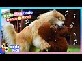 Dance Like This Big, Goofy Dog | Dodo Sing, Dodo Dance | Dodo Kids