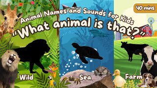 What's that Animal? | Learn Farm Animals, Sea Animals, and Wild Animal names and sounds for kids