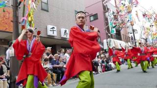 誠楽（2017高幡参道七夕まつり）第一部その１