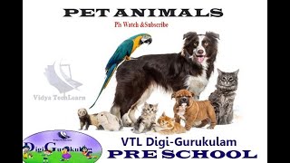 Pre School l Pet Animal l വളർത്തു മൃഗങ്ങൾ