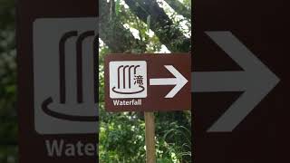 【日本の滝100選】関之尾滝を見にフラフラと【宮崎県】I've seen waterfalls　#Shorts