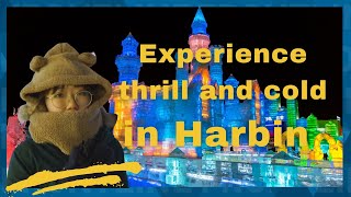 Experience the thrill and cold in Harbin