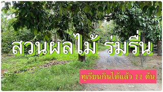 LDC-00158 #ทุเรียนโตกินได้ 298ตรว.😃 11ต้น🌳 มีบ้าน1หลังกลางชุมชน น้ำไฟถึง ต.คมบาง อ.เมือง #จันทบุรี