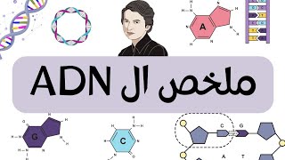 الADN وحدة الدعامة الوراثية /ثانية ثانوي 🔥🔥/ملخص شاامل 🥳🥳🥳🥳