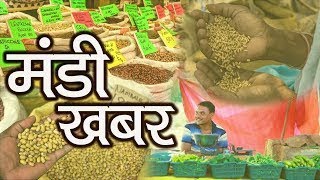 Latest Mandi Bhav on DD Kisan's LIVE program 'MANDI KHABAR' | 13 Feb, 2020