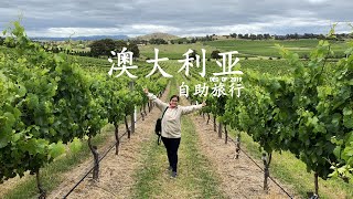 澳大利亚 2019 | 墨尔本 亚拉河谷| Melbourne Yarra Valley