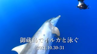 御蔵島でイルカと泳ぐ 2021.10.30-31