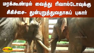 மரக்‍கூண்டில் வைத்து ரிவால்டோவுக்‍கு சிகிச்சை-துன்புறுத்துவதாகப் புகார் | Rivaldo Elephant | Nilgiri