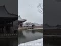 경북궁 겨울여행 travel snow 힐링 cat 서울특별시