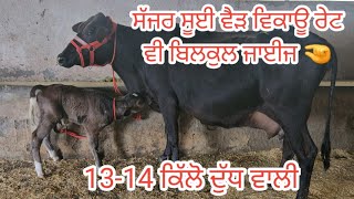 3 January 2025 ਬੁਹਤ ਚੰਗੀ ਵੈੜ ਵਿਕਾਊ। ਰੇਟ ਵੀ ਬਿਲਕੁਲ ਜਾਈਜ 🤏💥💯