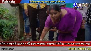 ফালাকাটা বিডিও অফিসের উদ্যোগে মশাবাহিত রোগের প্রতিরোধের জন্য বিভিন্ন জলাশয়ে ছাড়া হলো গাপ্পি মাছ