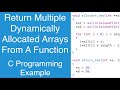 Return Multiple Dynamically Allocated Arrays From A Function | C Programming Example