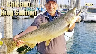 17lb King Salmon, Chinook, Chicago Fishing 2022