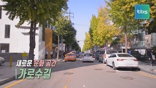 [tbs]서울베스트 100_ 새로운 문화공간 '가로수길'