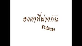 Polycat - องศาที่ต่างกัน