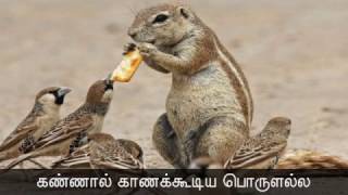 16-03-2017 தினம் ஒரு செய்தி - 276 | தமிழ்மறையோன் | Seeman's Daily Quotes