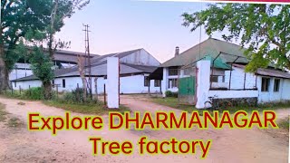 haflong tea garden। Dharmangar haflong tea factory। North Tripura।