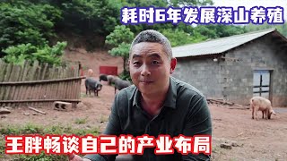 王胖家野山猪长势良好，耗时六年疯狂进行全方位的产业布局，他到底想干什么 【王玮先生】