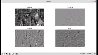 Python with Laplace filter