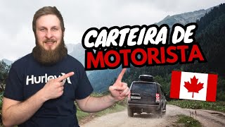 Carteira de motorista Canada -  Tudo que você precisa saber para se preparar!