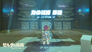 【ゼルダの伝説BotW】ニア・ネアの祠：力の試練 序位：平原の塔#7【祠#119】