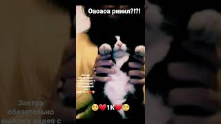 ааа это случилооось🥰♥️🥰♥️🥰😍🥰🥰❤🥰😍🥰❤🥰😍