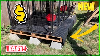 Best Cheap Raised DOG Kennels ‼️ (DIY Tutorial)