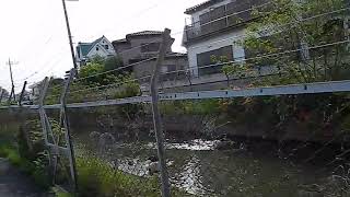 190503 1517新田橋,見沼代用水