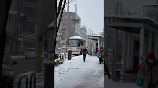 Mesmerizing Kanazawa in winter #short #shorts #travel #explore #globetrotter #monde #shortsfeed