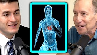 Tissue Engineering (Bob Langer) | Robert Langer and Lex Fridman