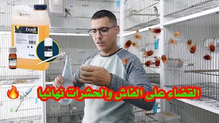 تخلص من الفاش والحشرات🔥 طريق تقديم EXZOLT#