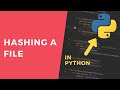 Hashing a File - 1 Minute Python Tutorial #shorts