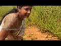 ఈసారి దసరా ఊరిలో village vlog villagelife villagevlog dasara