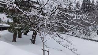 2023/1/21 上杉神社