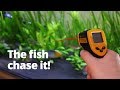 Great gadget to quickly monitor water temperature