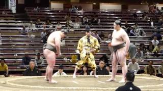 Tochiseiryu (2-0) - Takayoshitoshi (1-1) , Sumo : Natsubasho '16