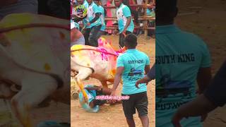 எருதாட்டத்தில் பட்டைய கிளப்பிய காளை 😍 #jallikattu2024 #சேலம் #shots #trending #song