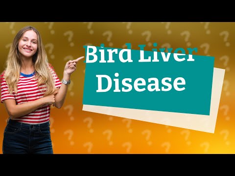 How do I know if my bird has liver disease?