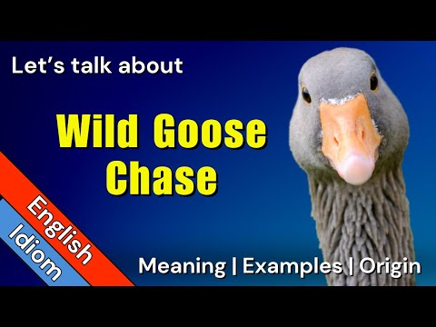 What is an example of a wild goose chase?