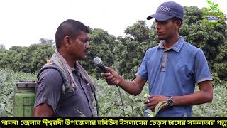 পাবনা- ঈশ্বরদীর রবিউল ইসলামের ঢেড়স চাষে সফলতার গল্পঃ