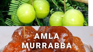 Amla Murabba Recipe | amla ka murabba kaise banate hain|How to Make Aawla Murabba #gooseberryrecipe