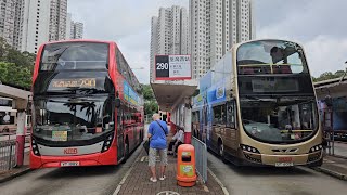 Hong Kong Bus KMB ATENU1631 @ 290 九龍巴士 Alexander Dennis Enviro500 MMC New Facelift 坑口(北) - 荃灣西站