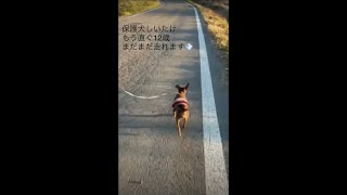 【オカリナ】RUNNER♪