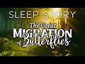 A Soothing Sleep Story of Nature's Migration 🦋 The Journey of Monarch Butterflies