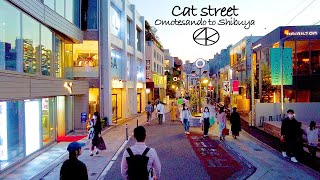 4K 2022 Japan,Tokyo Twilight time Omotesando to Cat Street