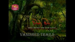 Vanished Trails - (Part 2) | වන වැදුණු වන මං | Rupavahini Documentary